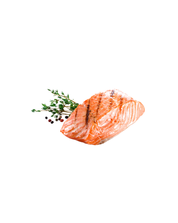 Salmón